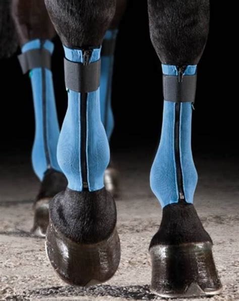 equicrown compression boots.
